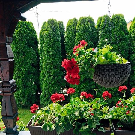 Pensiunea Casa Andreea - Barsana Maramures Birsana Экстерьер фото