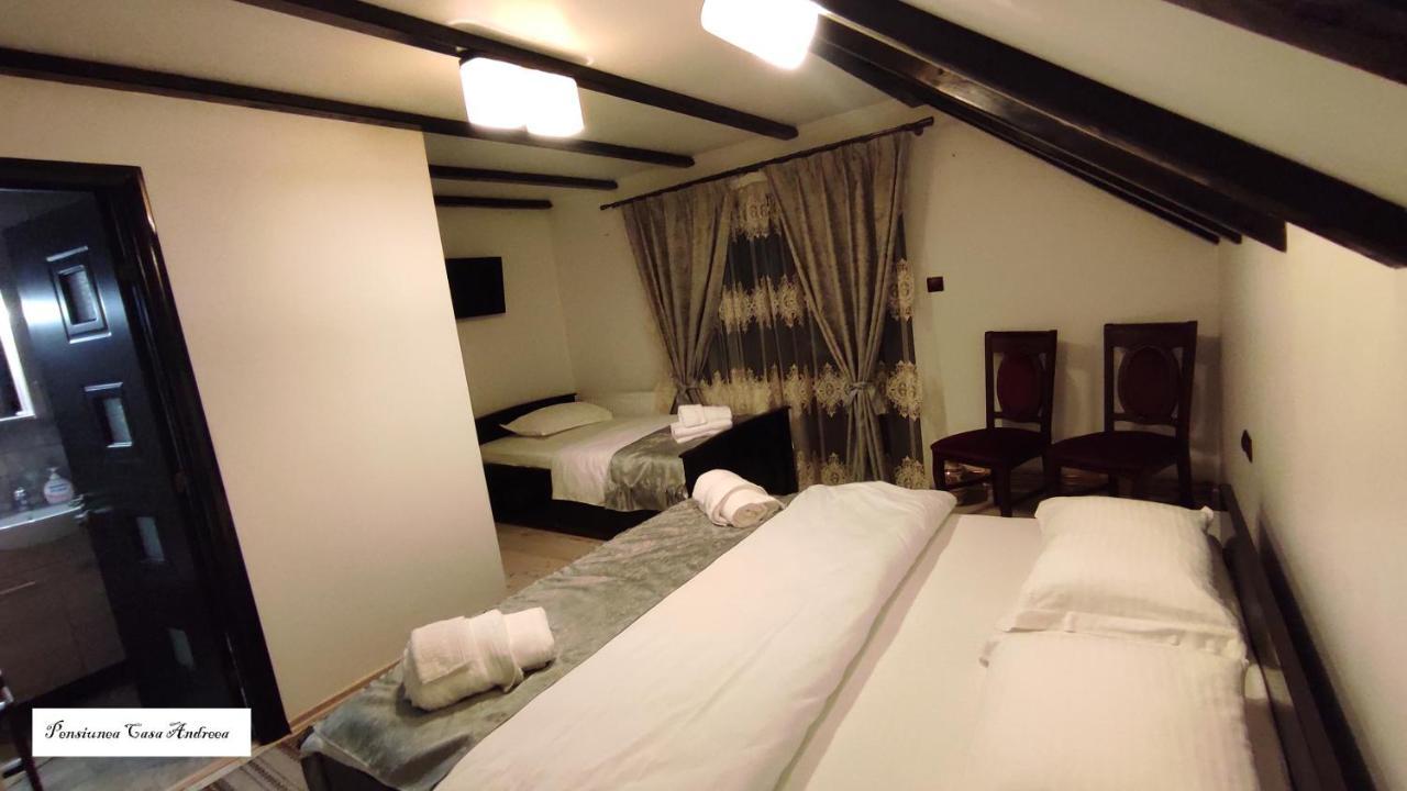 Pensiunea Casa Andreea - Barsana Maramures Birsana Экстерьер фото