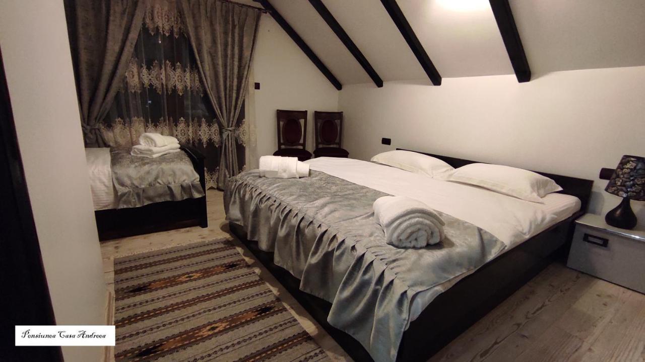 Pensiunea Casa Andreea - Barsana Maramures Birsana Экстерьер фото
