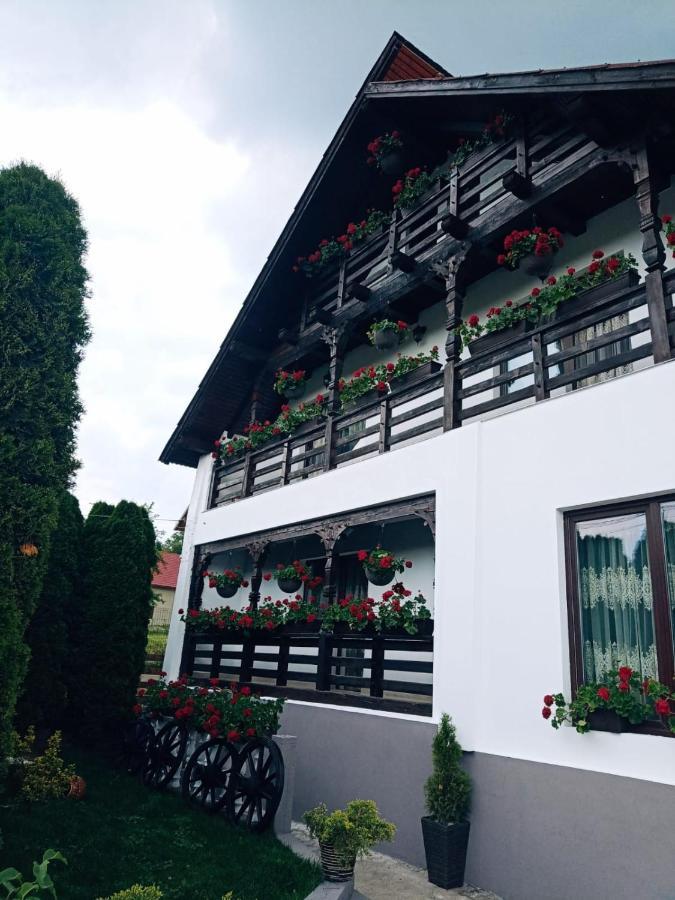 Pensiunea Casa Andreea - Barsana Maramures Birsana Экстерьер фото