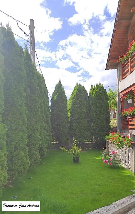 Pensiunea Casa Andreea - Barsana Maramures Birsana Экстерьер фото