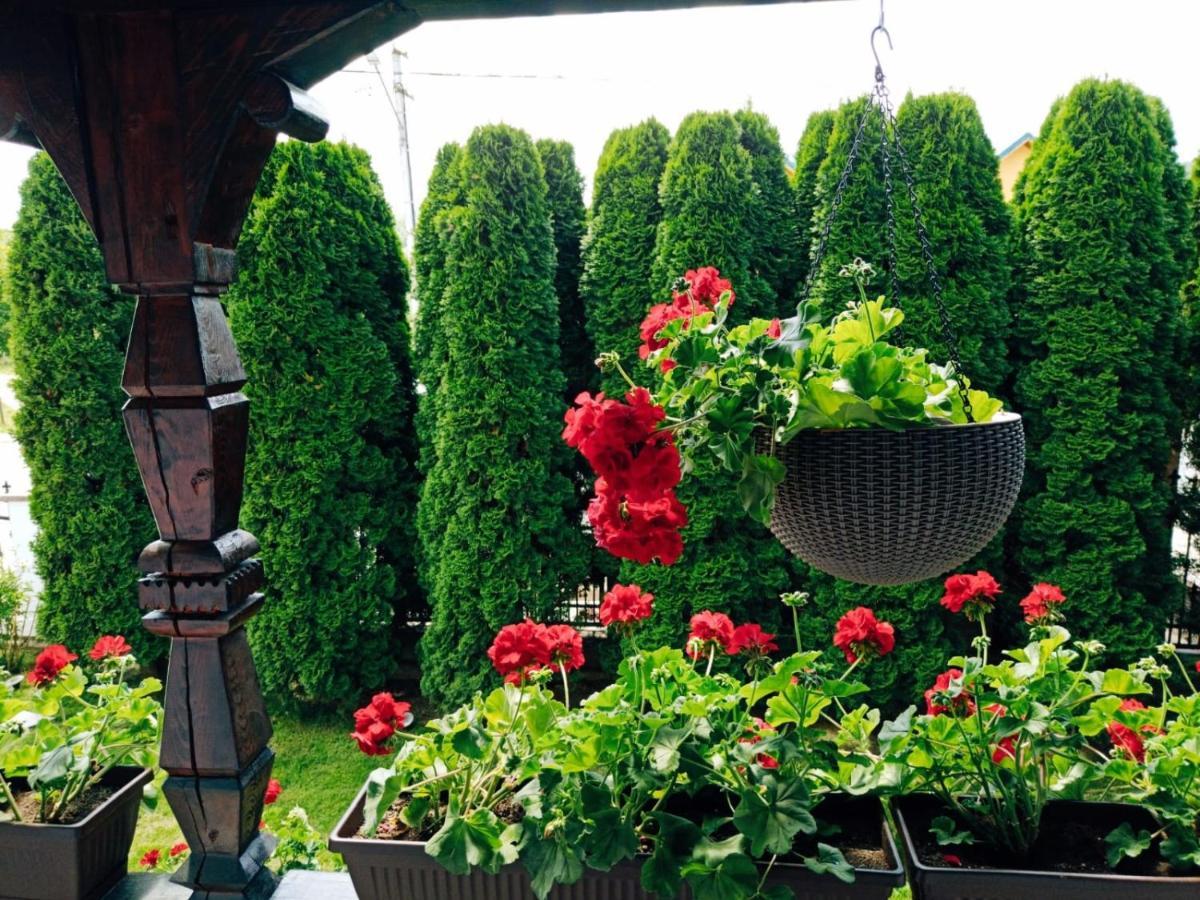 Pensiunea Casa Andreea - Barsana Maramures Birsana Экстерьер фото