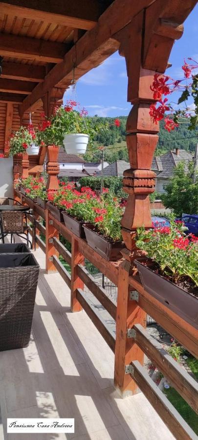 Pensiunea Casa Andreea - Barsana Maramures Birsana Экстерьер фото